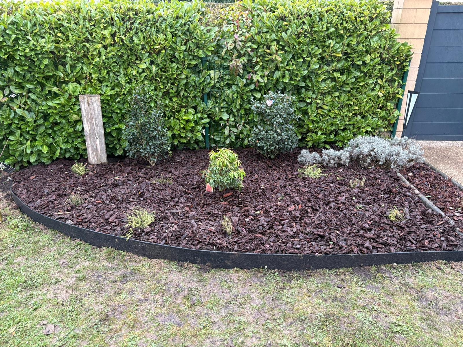 Creation De Massif Avec Plante A Terre De Bruyere