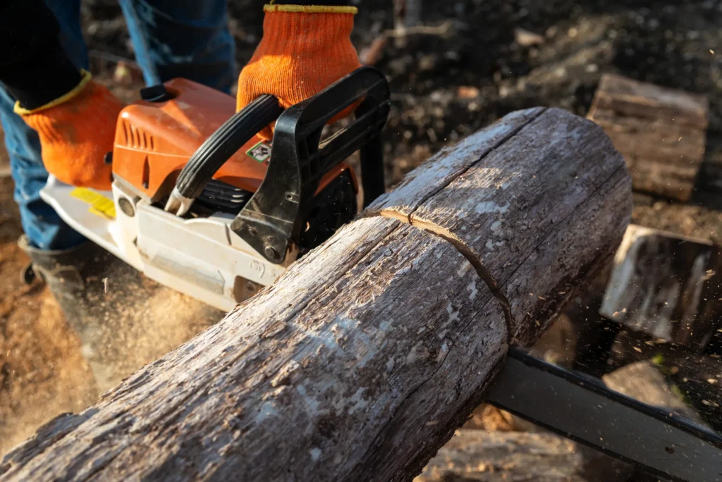 Elagage Apres Tempete