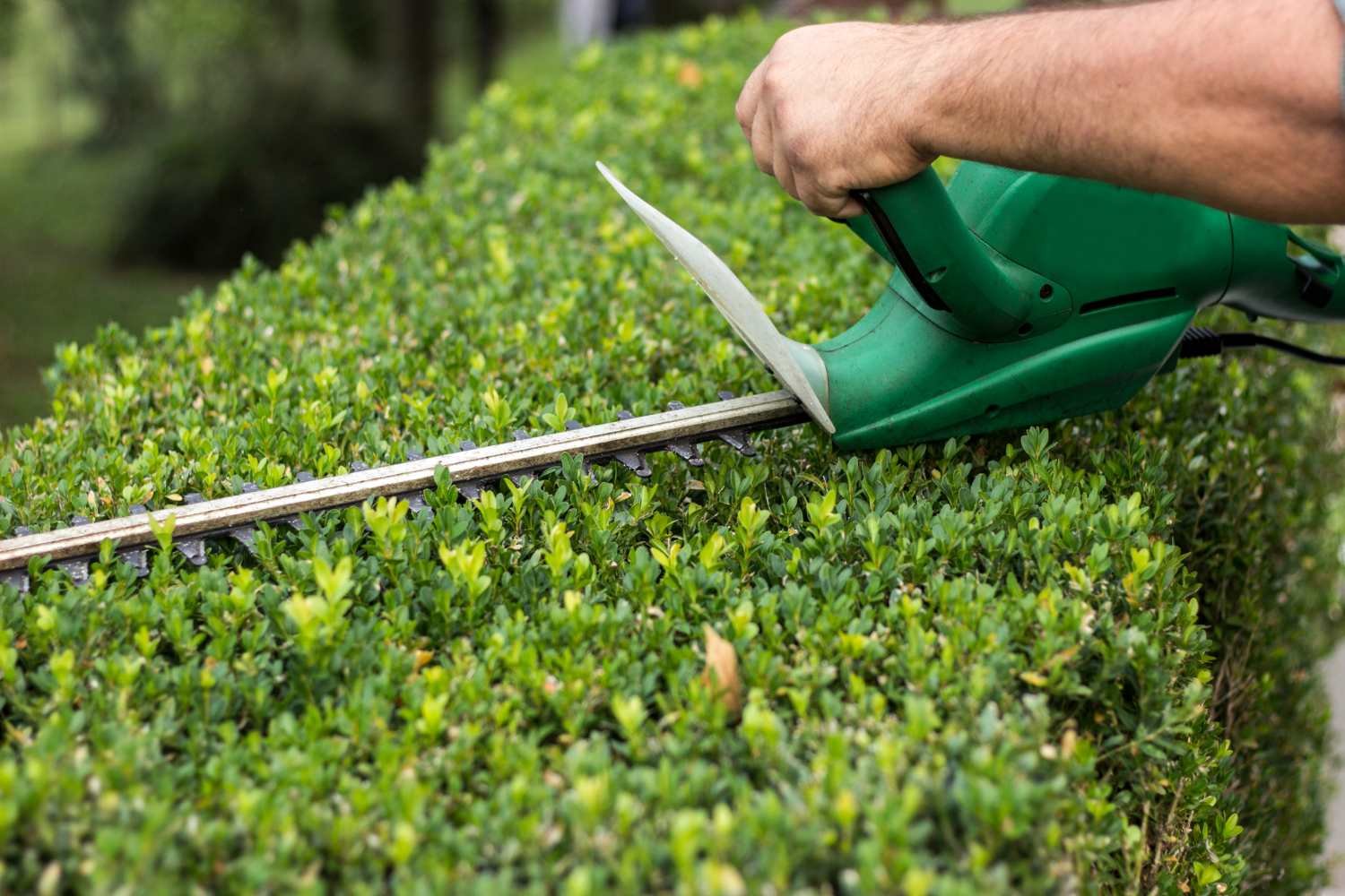 Entreprise De Paysagiste 77