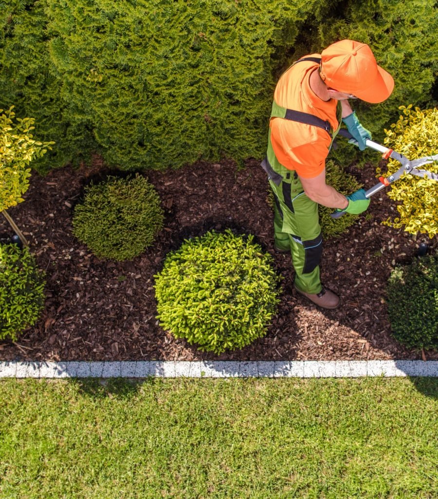 Professional Gardener and the Large Backyard Garden. Top View. Spring Time Maintenance. Trimming Trees and Plants.